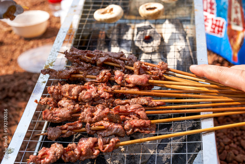 A person is grilling meat skewers in a picnic camping  delicious and tempting barbecue