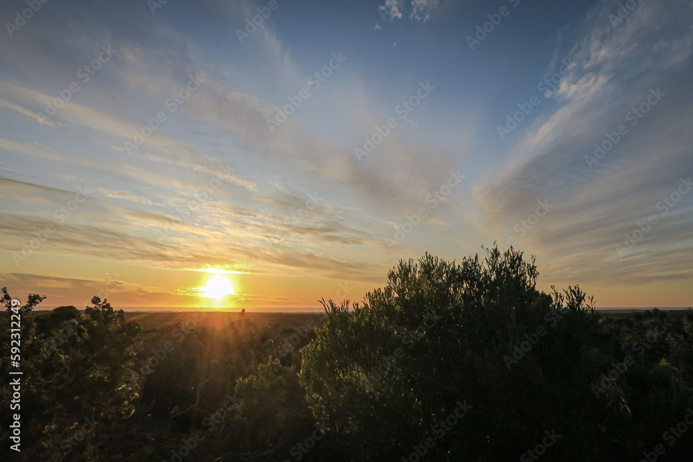 Fototapeta premium Sunset in Nambung National Park, Western Australia, Australia 