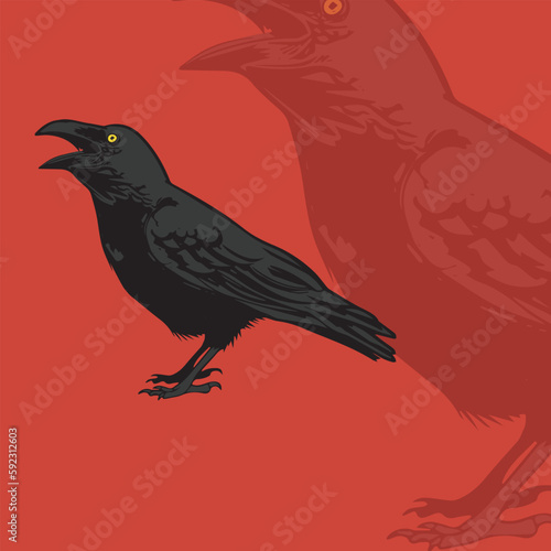 crow illustration for logo and tshirt design. (ID: 592312603)