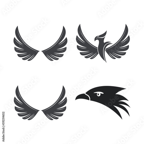 Falcon logo template vector © Jeffricandra30