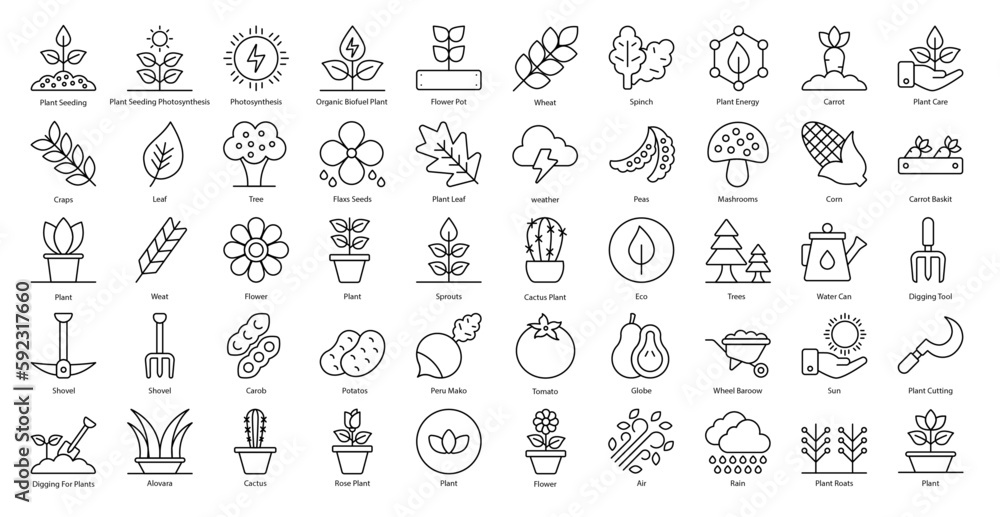 Plant Based Thin Line Icons Plants Flower Gardening Icon Set in Outline Style 50 Vector Icons in Black	