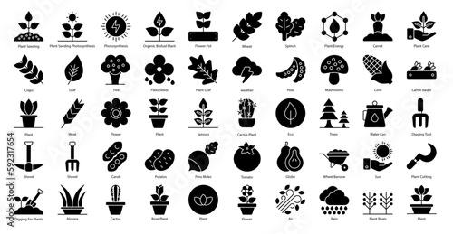 Plant Based Glyph Icons Plants Flower Gardening Icon Set in Glyph Style 50 Vector Icons in Black	