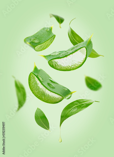 Composition of flying tea leaves and aloe vera on green background.