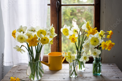 Vari di vasi di vetro con fiori di narcisi di varie qualità di colore giallo e bianco in formato orizzontale