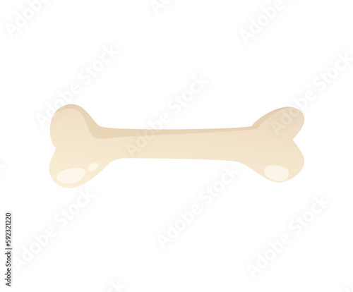 Concept Pet products set bone dog. This is a flat vector concept cartoon design featuring a pet product, specifically a bone for dogs. Vector illustration.