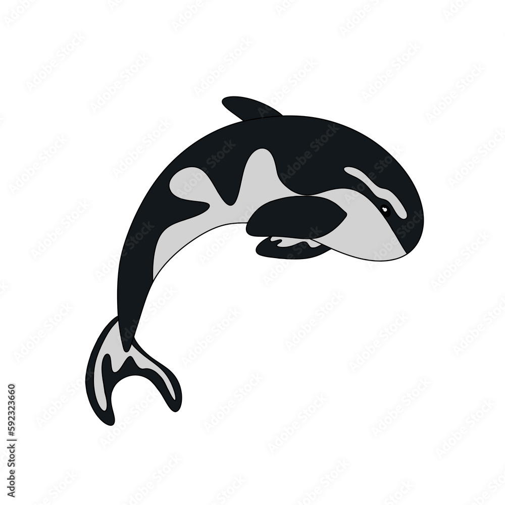 Naklejka premium Killer whales in a minimalistic style on a transparent background. Isolated. Design element. 