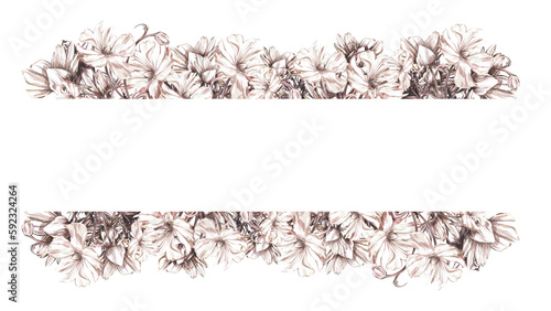 Frame white peony monochrome isolated on white background. Watercolor hand drawn botanical illustration. Art for design