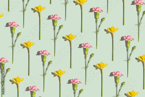 Pink and yellow spring flowers pattern on a green background. Daffodils and carnations flowers flat lay top view