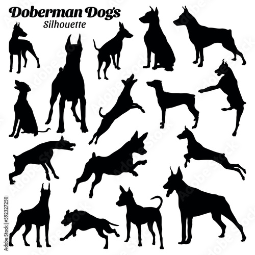 Collection set of Doberman dog silhouette vector illustrations.