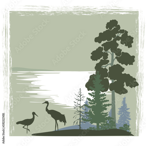 Natural landscape with trees, lake and crane birds silhouettes. Vector illustration