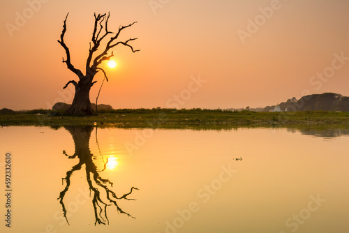 Tree reflecting in Taung Tha Man Lake near U-Bein bridge at sunset, Amarapura, Mandalay, Myanmar photo