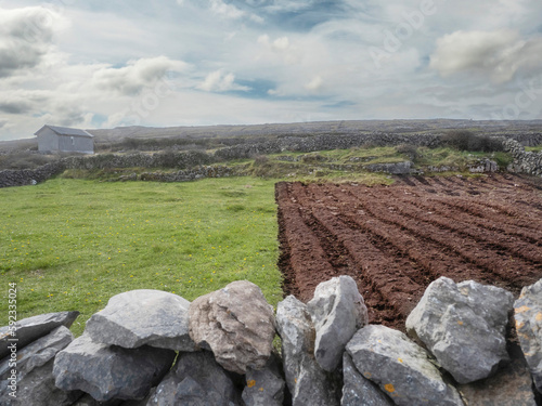 Patch of freshly ploughed land next to green grass field. Agriculture industry. Nobody. Growing fresh organic product on brown soil.
