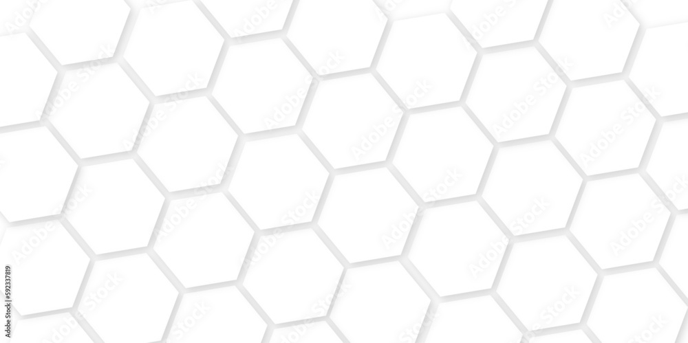 Abstract background with hexagons with hexagon concept design abstract technology background. abstract background with lines, white texture background, hexagon abstract background. Abstract background with hexagons with hexagon concept design abstract technology background. abstract background with lines, white texture background, hexagon abstract background.
