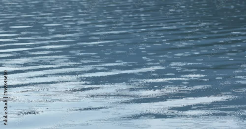 rain drops on water surface rain drops on water surface