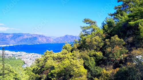 beautiful seascape with sea palm trees and mountains, summer background, vacation background, copy space