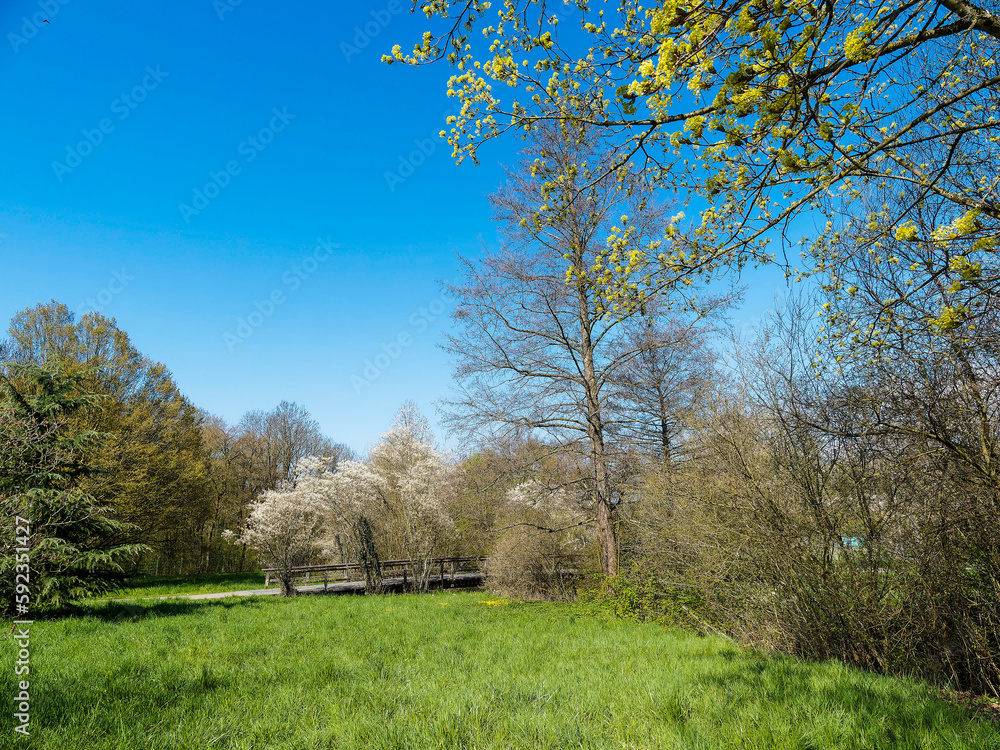 Landschaftspark Grütt in Lörrach - Der größte Park mit wunderschöne grüne Rasenflächen, frühlingsblühende Bäume und Sträucher
Landschaftspark Grütt in Lörrach - Der größte Park mit wunderschöne grüne Rasenflächen, frühlingsblühende Bäume und Sträucher
