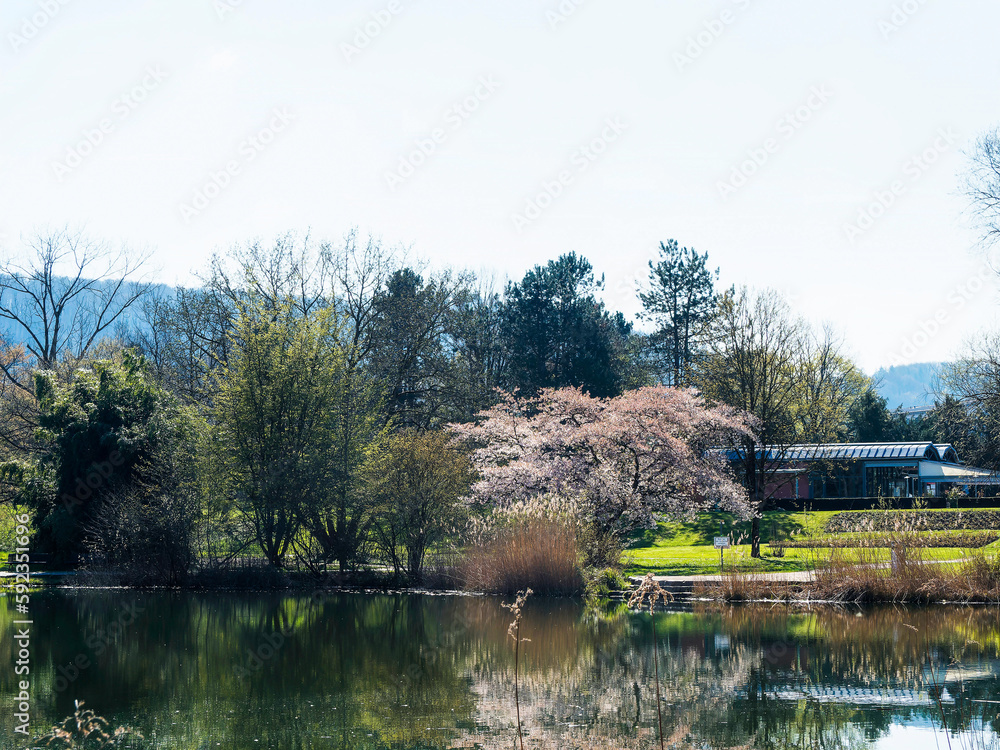 Landschaftspark Grütt oder Grüttpark in Lörrach. Des mittleren ... Landschaftspark Grütt oder Grüttpark in Lörrach. Des mittleren ...