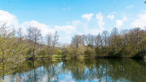 Landschaftspark Grütt in Lörrach - Grüttsee Im zeitigen Frühjahr mit Blick zur Burg Rötteln