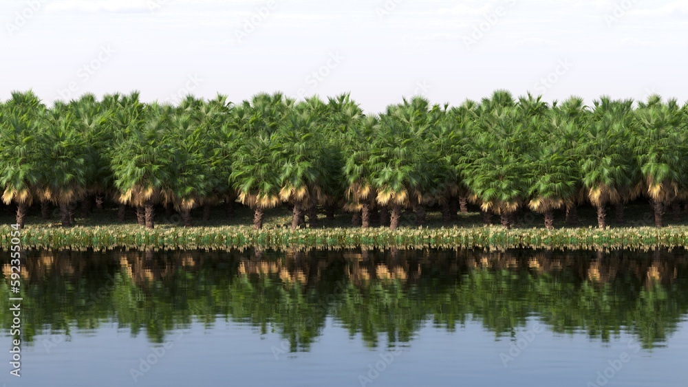 tropical jungle on the river bank, 3D illustration, cg render
tropical jungle on the river bank, 3D illustration, cg render