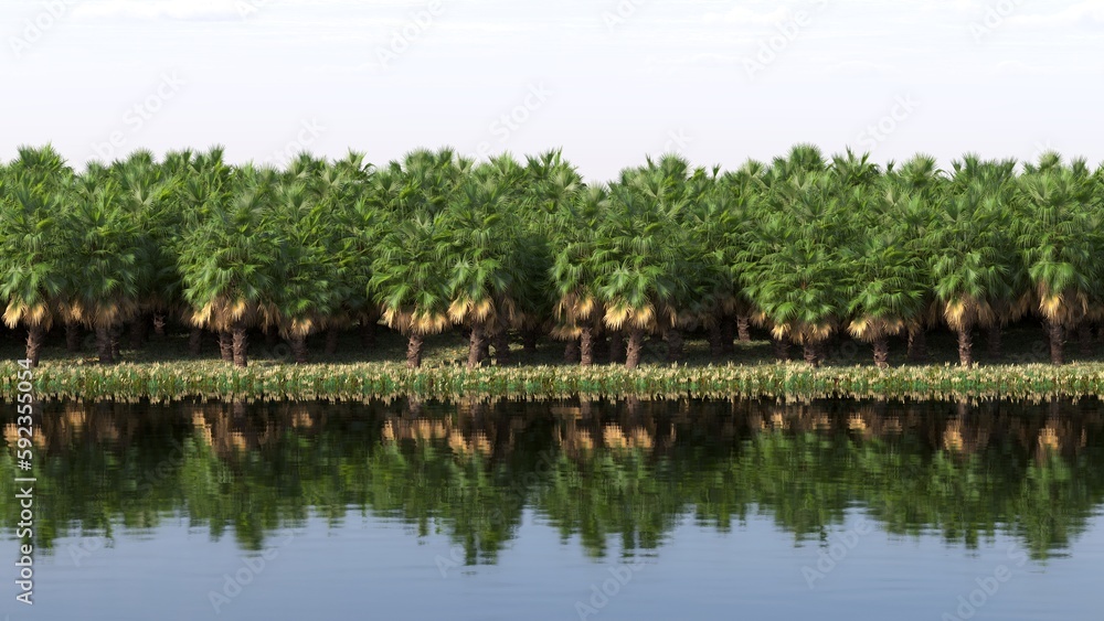 tropical jungle on the river bank, 3D illustration, cg render
