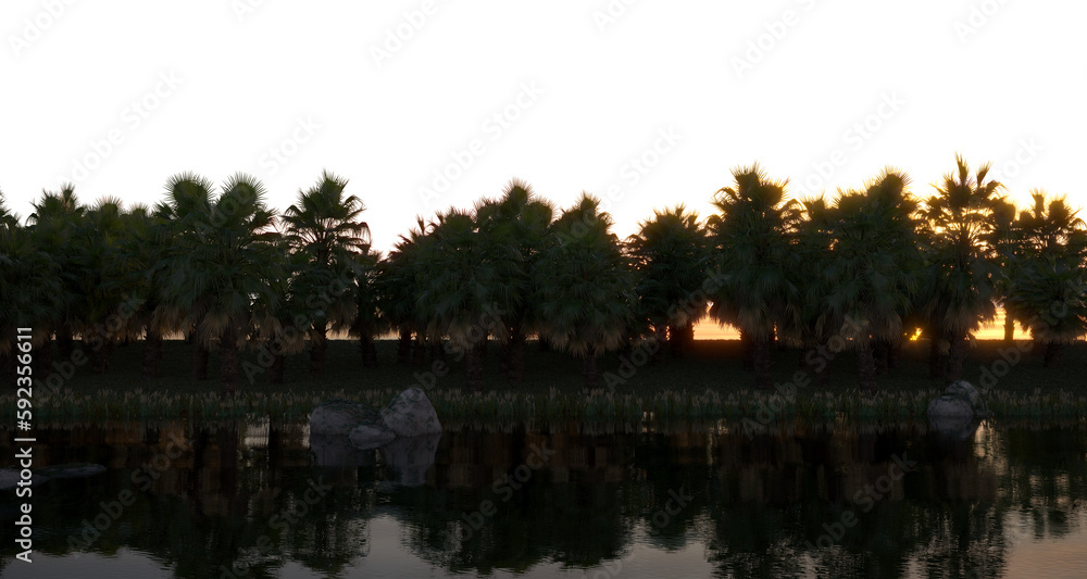 tropical jungle on the river bank on a transparent background, 3D illustration, cg render
