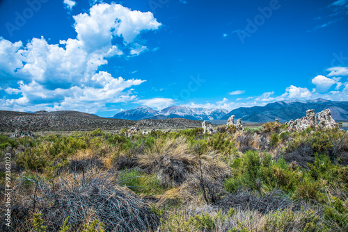 Mono Lake South Tufa