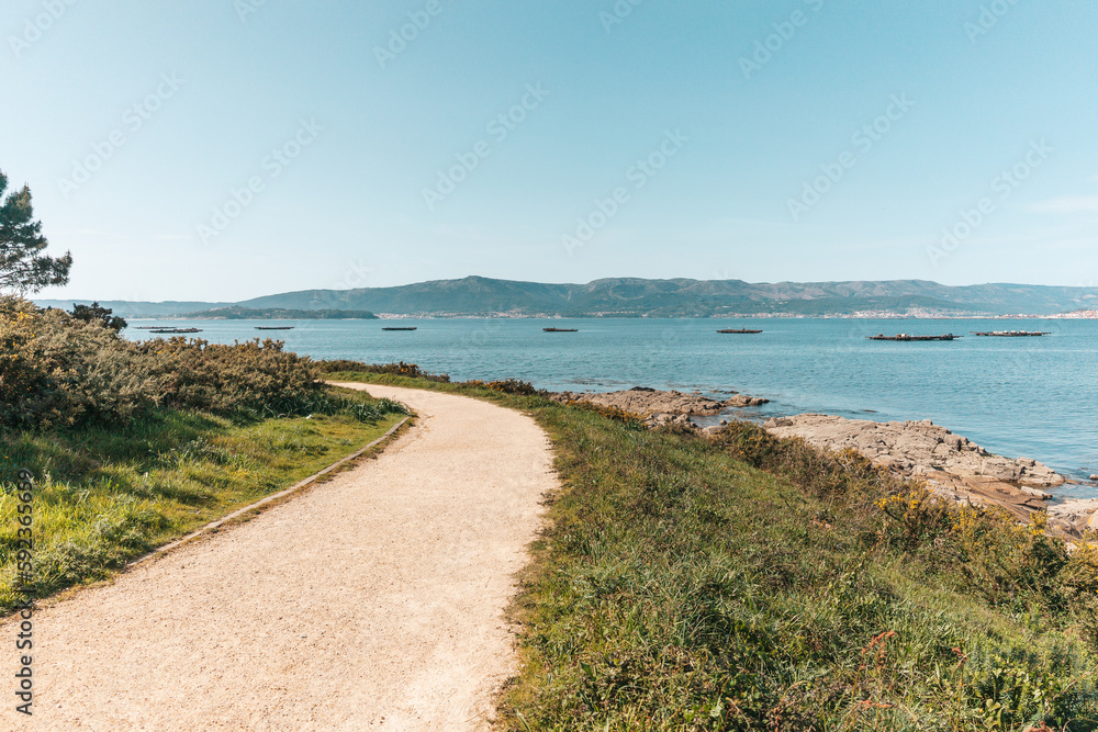 Obraz premium Dirt road through a forest by the sea