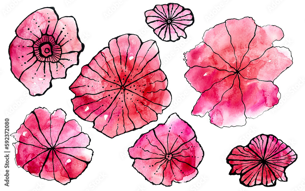 Obraz premium Pink flowers with watercolor blur. The black outline is drawn in ink. Flowers isolated on white background 