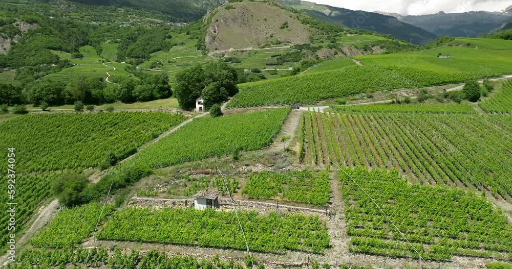 Aerial view of Swiss terraced vineyards Aerial view of Swiss terraced vineyards