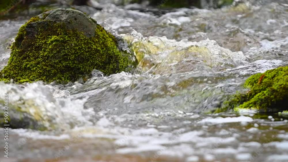 Mossy rock in slow flowing creek Mossy rock in slow flowing creek