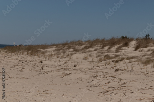 The sand dunes here looked so beautiful with the golden tall grass waving in the wind. The pretty brown sand in between with a blue sky above. This image was taken in Cape May New Jersey.