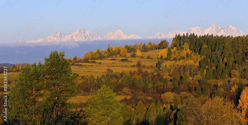 Slovakia ,High Tatras , pleso, lake, forest,