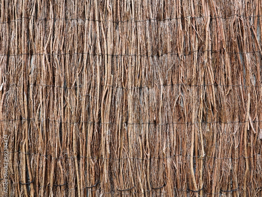 Wooden wall closure. Heather mat in close up. Background. Wooden wall closure. Heather mat in close up. Background.