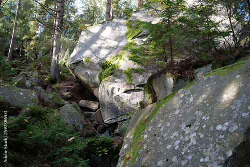 Dovbush Rocks in the forest near Yaremche city, Ukraine