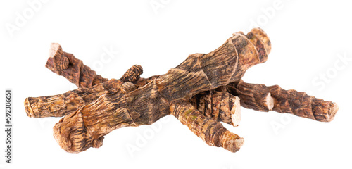 Calamus root isolated on white background. Sweet flag, sway or muskrat root, vasambu. Dry root of Acorus calamus. Top view. © vandycandy
