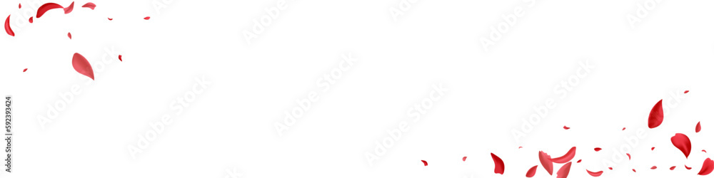 Beautiful Floral Tender Vector White Panoramic Beautiful Floral Tender Vector White Panoramic