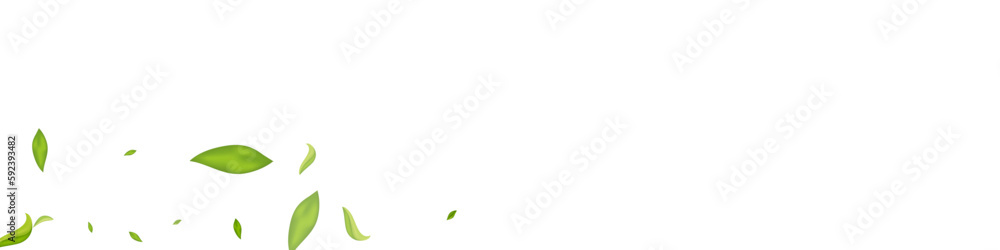 Grassy Leaves Wind Vector White Panoramic
