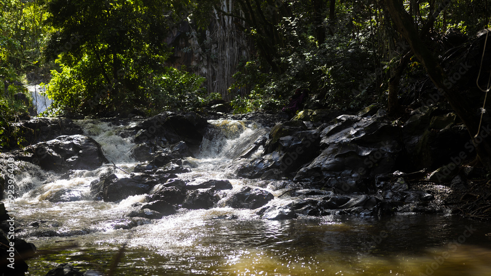 Small cascade waterfall in the jungle forest in Hawaii