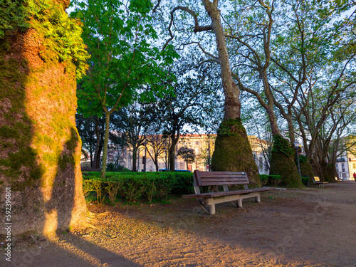Fototapeta Naklejka Na Ścianę i Meble -  Lane with trees and empty bench in Jardim da cordoaria, Porto.