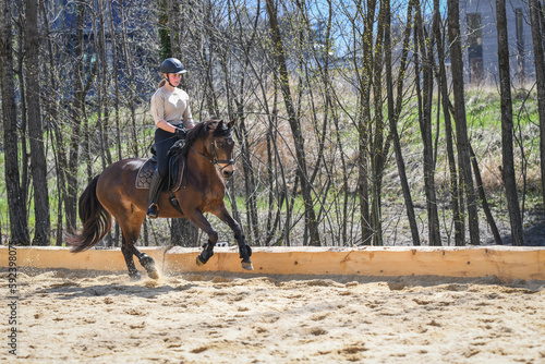 Reiterin mit Pferd