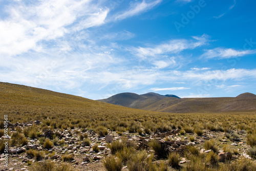 montañas del altiplano andino  photo