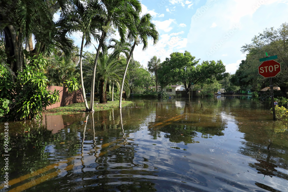 Twenty five inches of rain in 24 hours floods local Fort Lauderdale neighborhood streets.