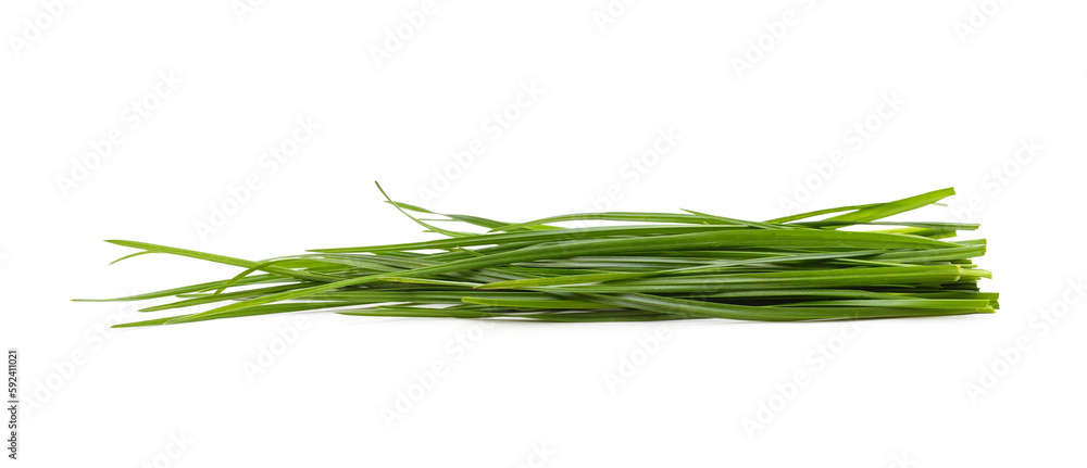 Bunch of green grass. Bunch of green grass.