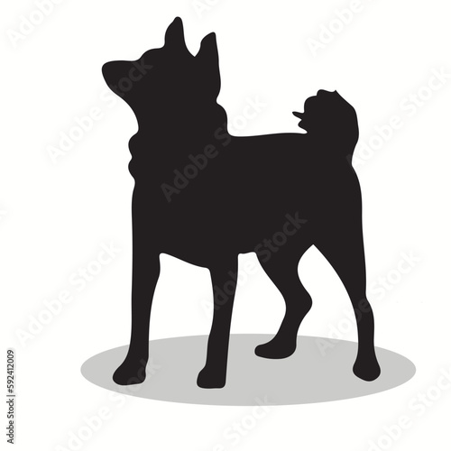 Ainu Dog silhouettes and icons. Black flat color simple elegant ainu dog animal vector and illustration.