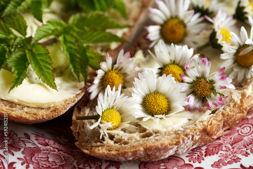 Lawn daisy and ground elder on slices of bread  closeup