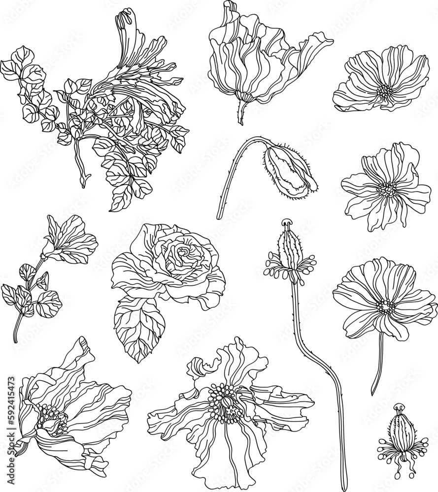 Botanical set of sketch flowers and branches	