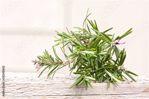 Cutting of rosemary herb on white wooden surface