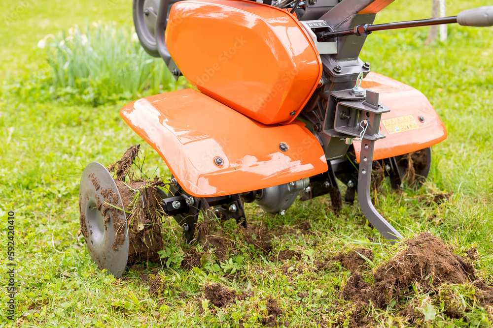 A man works the land in the garden with a cultivator, prepares the soil