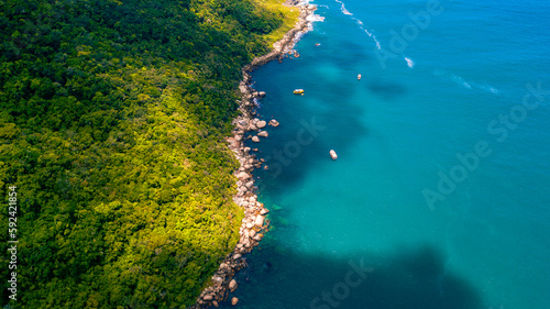 Ilhas Tropicais Natureza Mar Oceano Atlântico Floresta Mata Atlântica Palmeiras Árvores Peixes Barcos Florianópolis Santa Catarina Arvoredo Campeche Céu Marítimo Mergulho Férias Viagem Viajar Brasil 