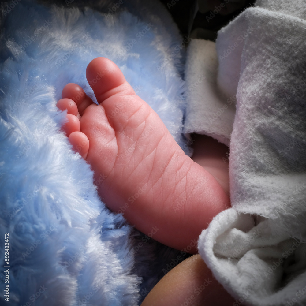 newborn feet in a blanket newborn feet in a blanket